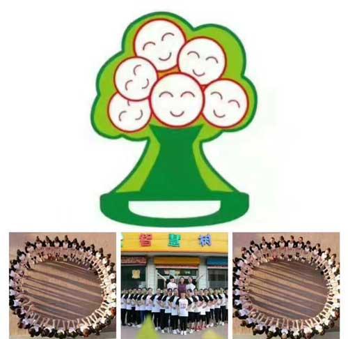 教育智慧樹 一改傳統的教學方式